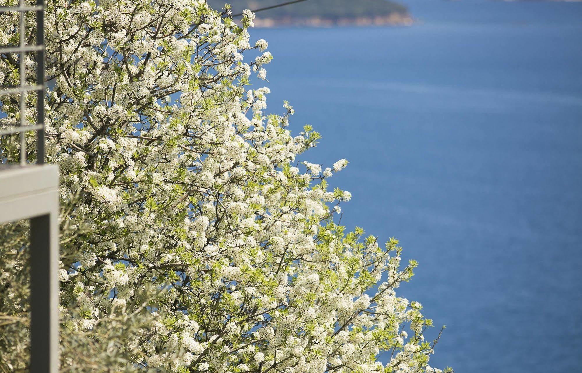 Fiorella Sea View Megali Ammos  Esterno foto